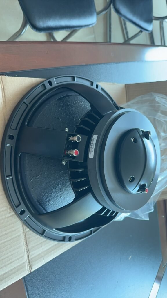 Unbreakable Bass: Seynvitx 15″ Ceramic Woofers | 20000+ Hours Stage-Proof | OEM Factory Direct (Guangzhou, China)